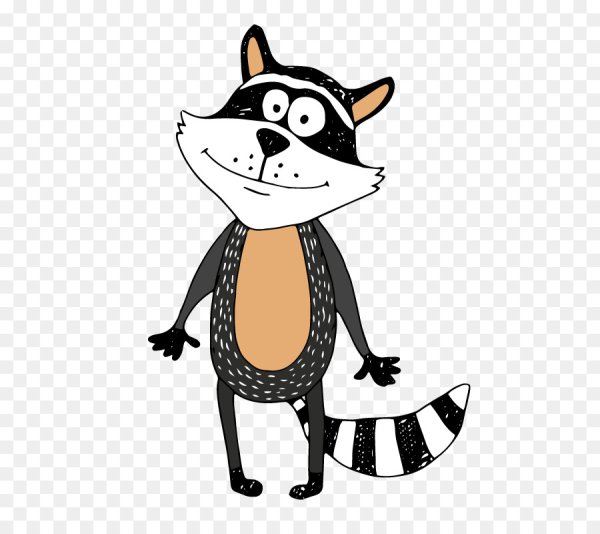 Енот из мультика