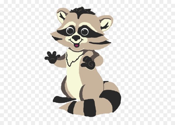 Енот рисунок