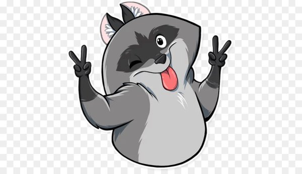 Енот клипарт на прозрачном фоне