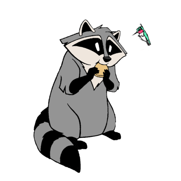 Мультяшные еноты