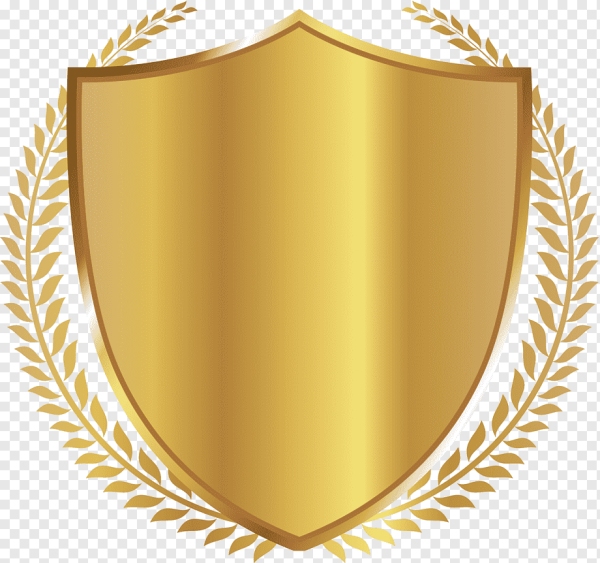 Щит на прозрачном фоне