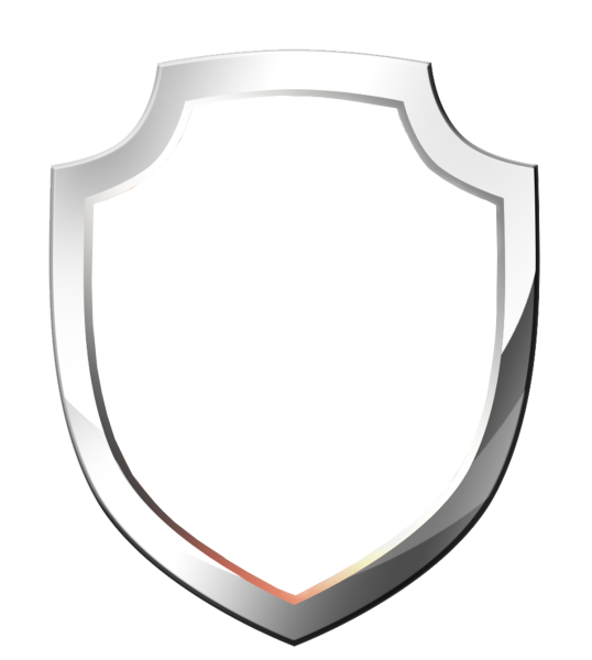 Золотой щит