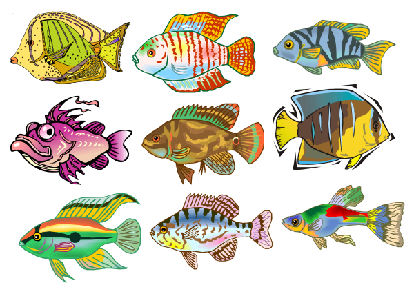 Разноцветные рыбы для детей