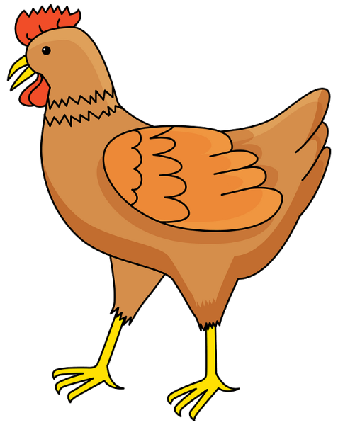 Куры клипарт