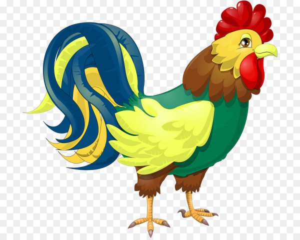 Петушок на белом фоне