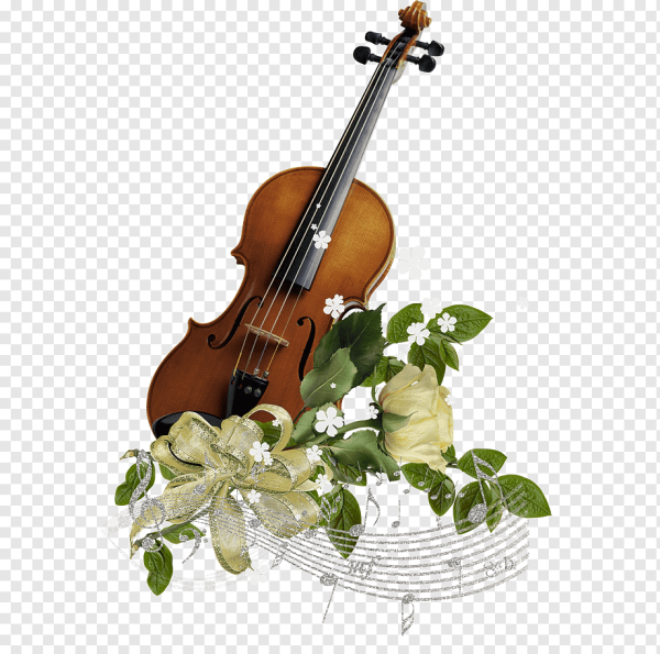 Скрипка на белом фоне