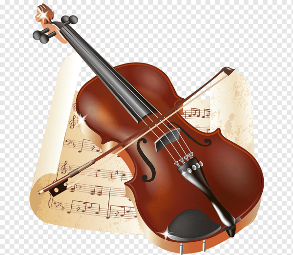Виолон музыкальный инструмент