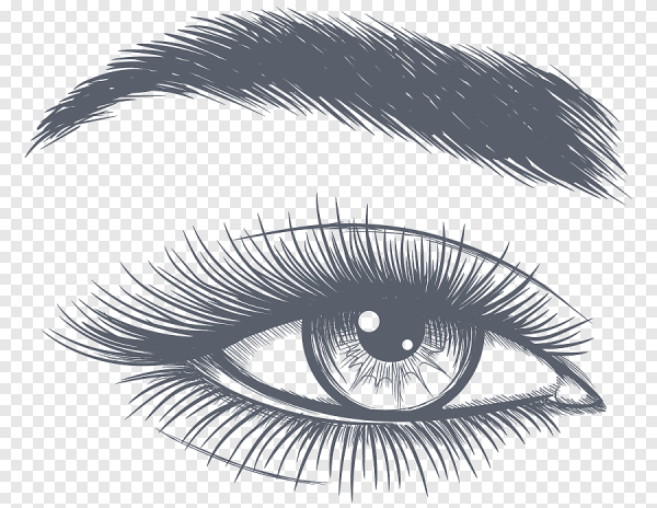 Брови рисунок