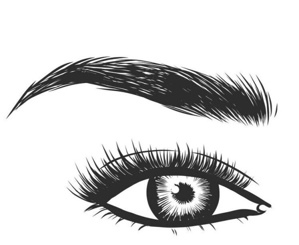 Архитектура бровей вектор