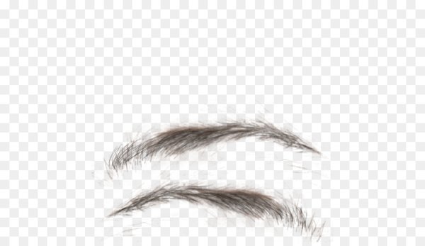 Брови женские для фотошопа