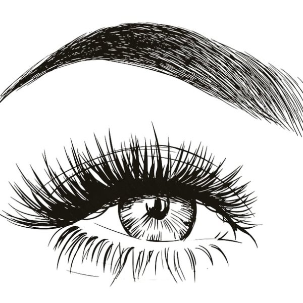 Брови векторные