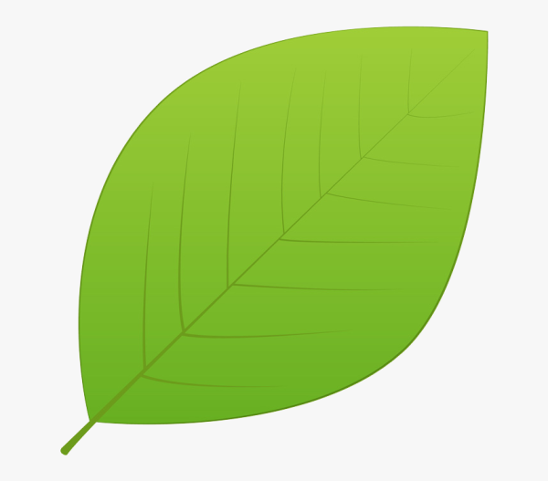 Зеленый лист