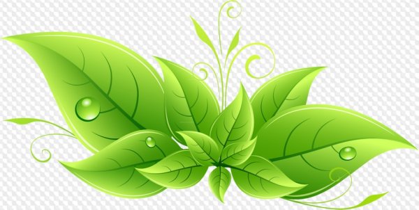 Зеленые листочки на прозрачном фоне