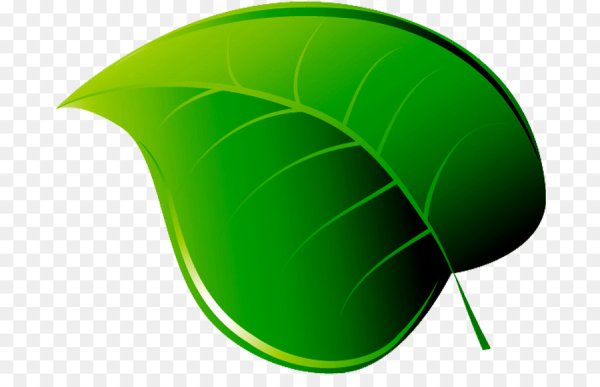 Листик мультяшный