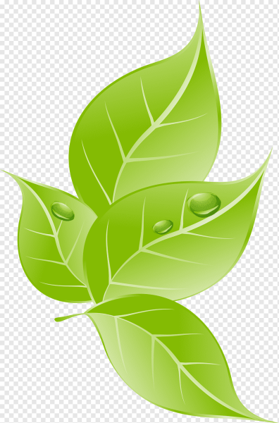 Зеленая Ласточка