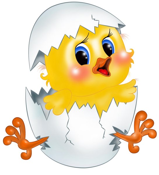 Цыплята мультяшные