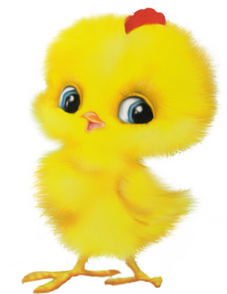 Желтый цыпленок