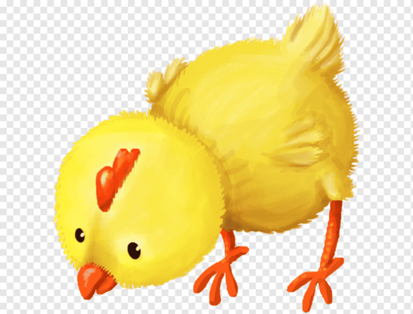 Цыпленок для детей