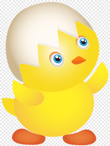 Цыпленок на прозрачном фоне