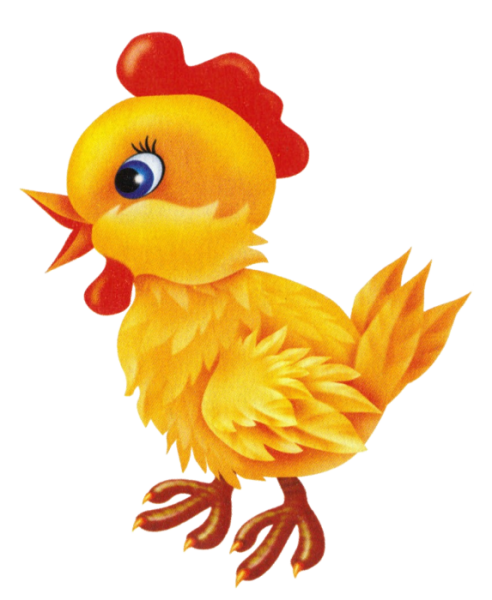Цыпленок на прозрачном фоне