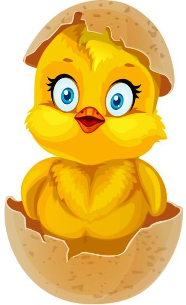 Цыпленок вылупился
