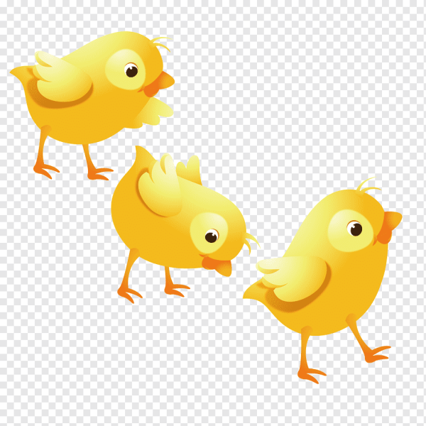 Цыплята мультяшные