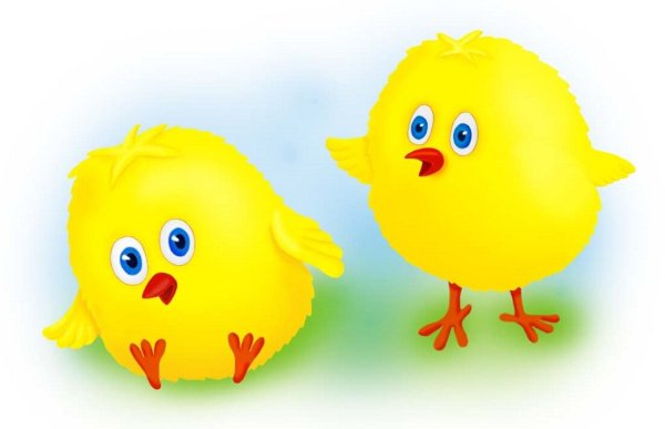 Цыплята мультяшные