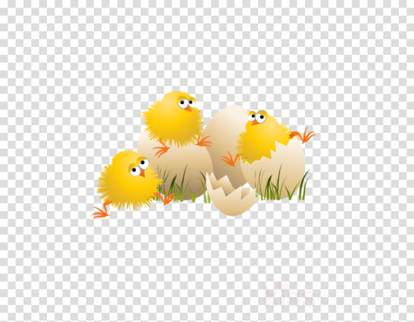 Мультяшные птенцы