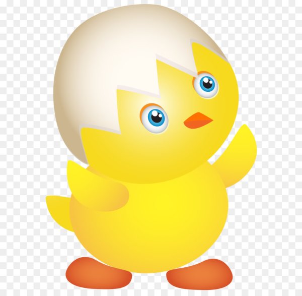 Цыпленок на прозрачном фоне