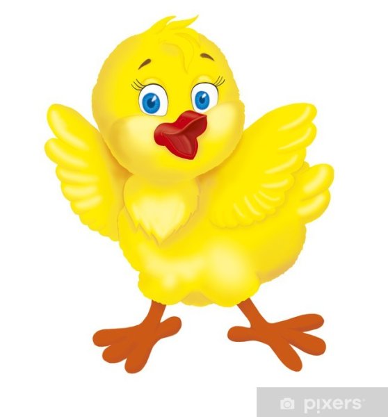 Цыплята мультяшные