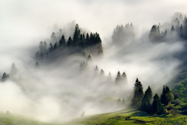 Туман вектор