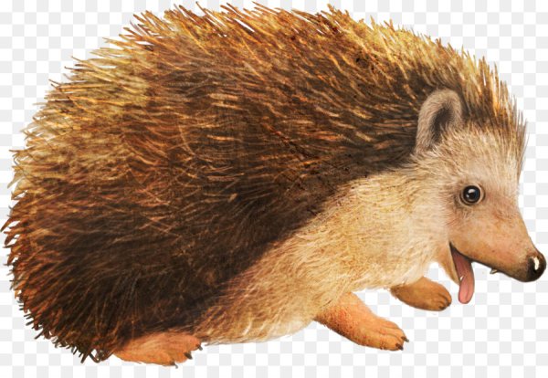 Ежик для детского сада