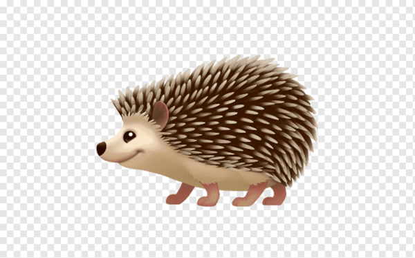 Ежик на прозрачном фоне