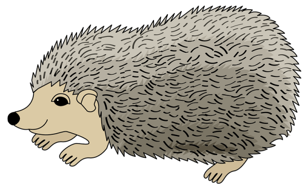 Ежик без фона