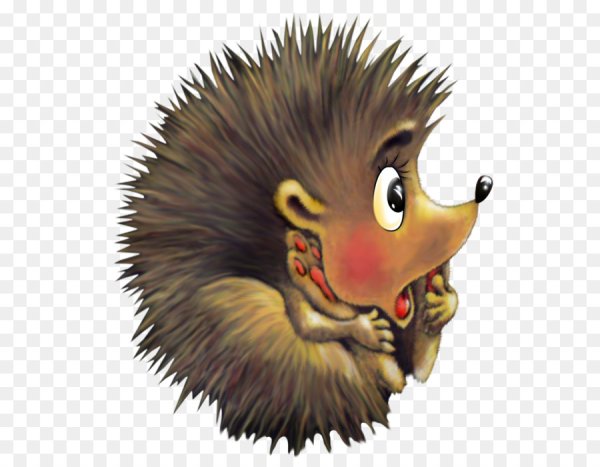 Еж для детей