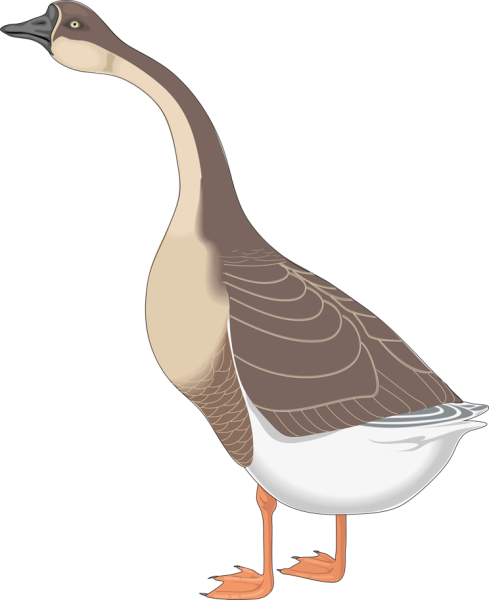 Гусь мультяшный
