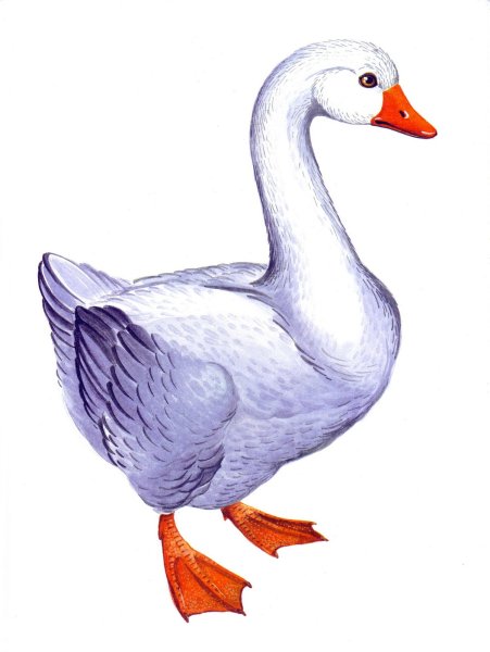 Гусь для детского сада