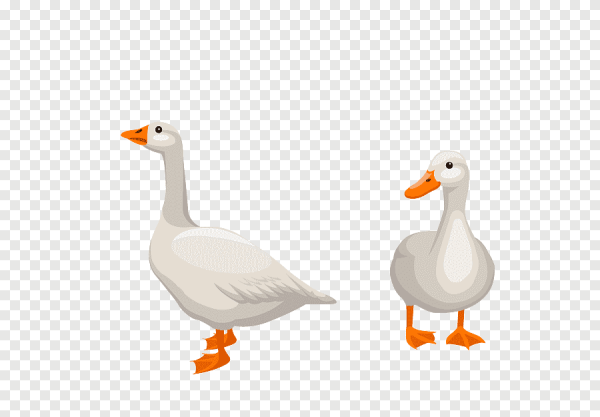 Мультяшный Гусь на белом фоне