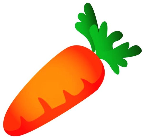 Морковь для детей