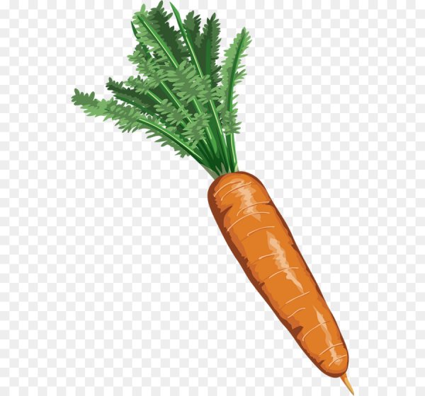 Морковь без фона