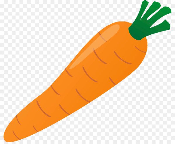 Морковь для дошкольников