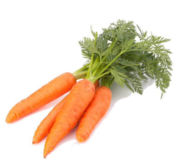 Морковь молодая 1упак.