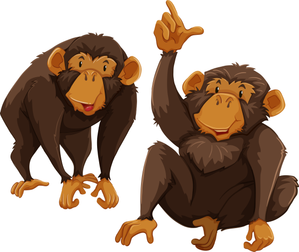 Обезьяна на прозрачном фоне