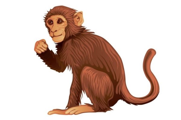 Мартышка вектор