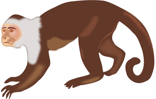 Векторное изображение обезьянка