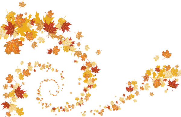 Осенние листья на прозрачном фоне
