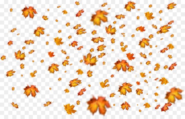Падающие листья на белом фоне