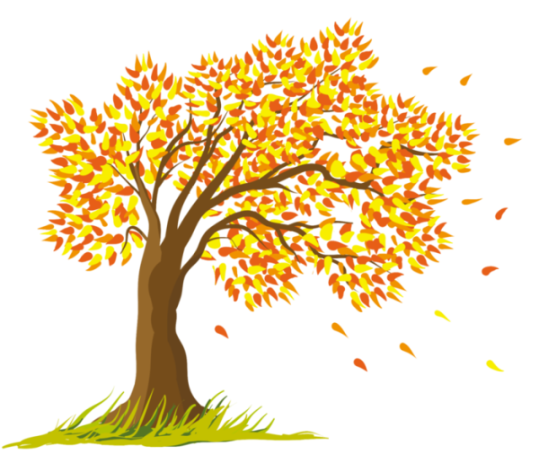 Дерево с опавшими листьями