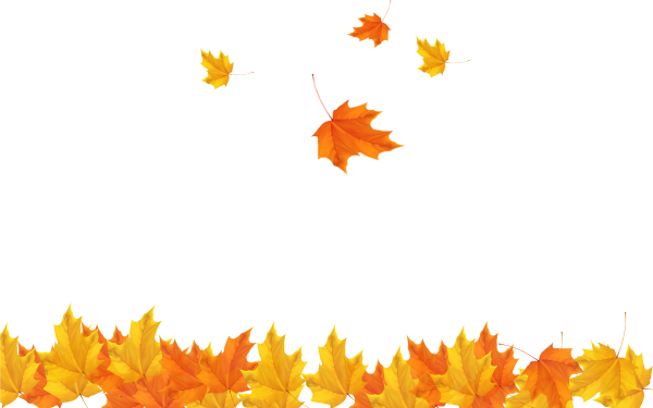 Желтая листва на прозрачном фоне