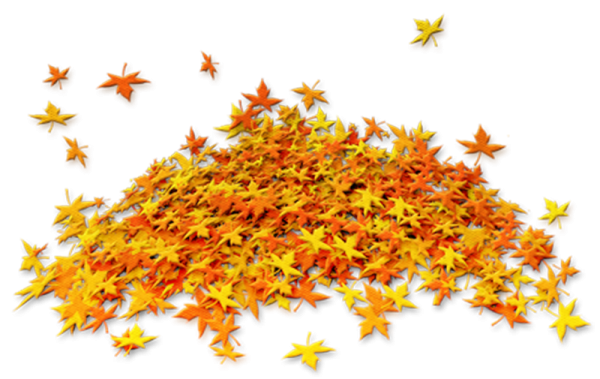 Куча листьев на прозрачном фоне